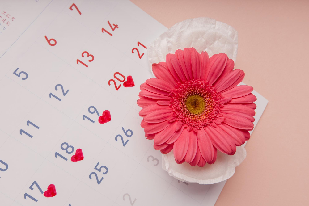 Menstruation-calendar-with-marks-hygiene-tampons-flower-woman-s-protection-concept
